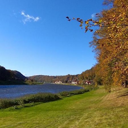 Ferienwohnung An Der Elbe Stadt Wehlen Bagian luar foto