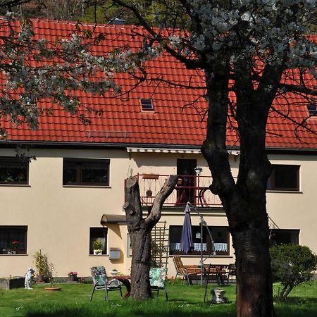 Ferienwohnung An Der Elbe Stadt Wehlen Bagian luar foto