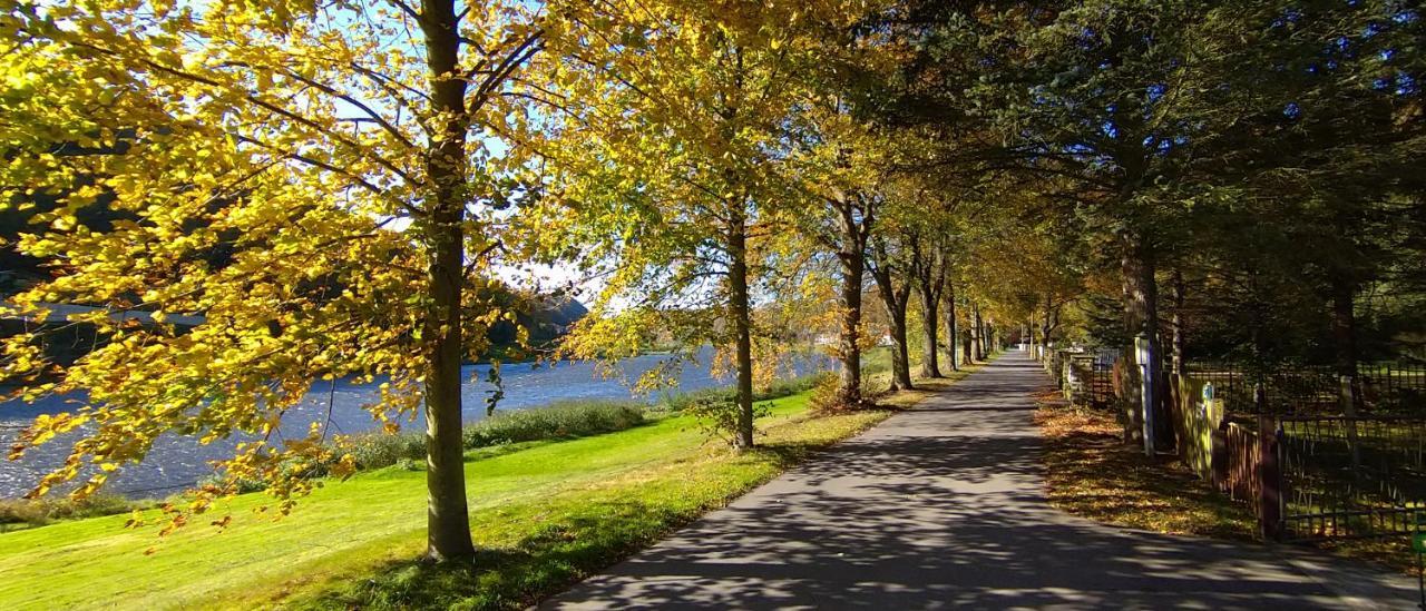 Ferienwohnung An Der Elbe Stadt Wehlen Bagian luar foto