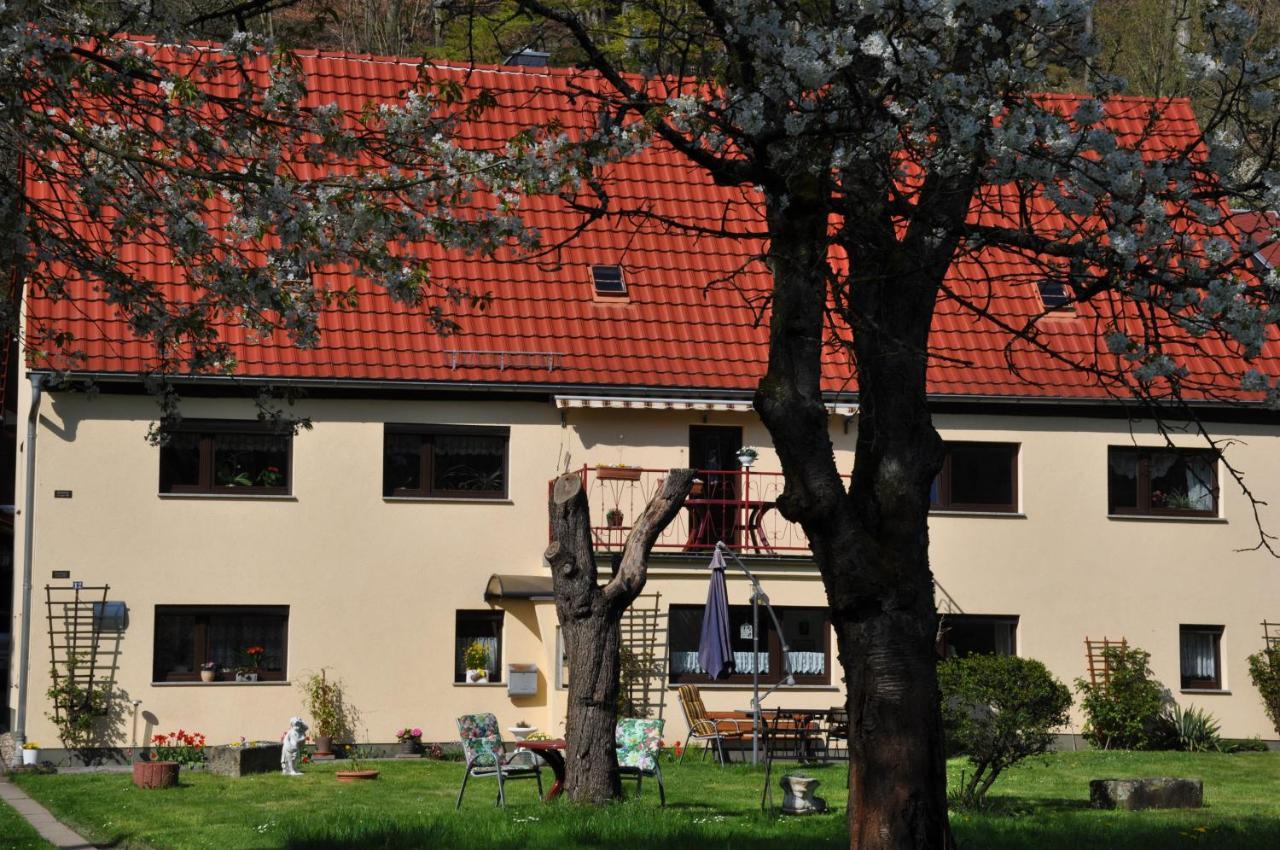Ferienwohnung An Der Elbe Stadt Wehlen Bagian luar foto